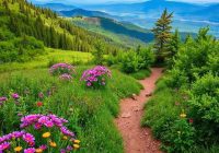 Kiedy omijać tłumy na szlakach i w popularnych miejscach – praktyczne wskazówki i alternatywy