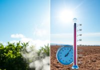 Wilgotność powietrza a temperatura odczuwalna: jak interpretować ich wpływ na komfort i zdrowie w praktyce Wilgotność powietrza a temperatura odczuwalna: jak interpretować ich wpływ na komfort i zdrowie w praktyce